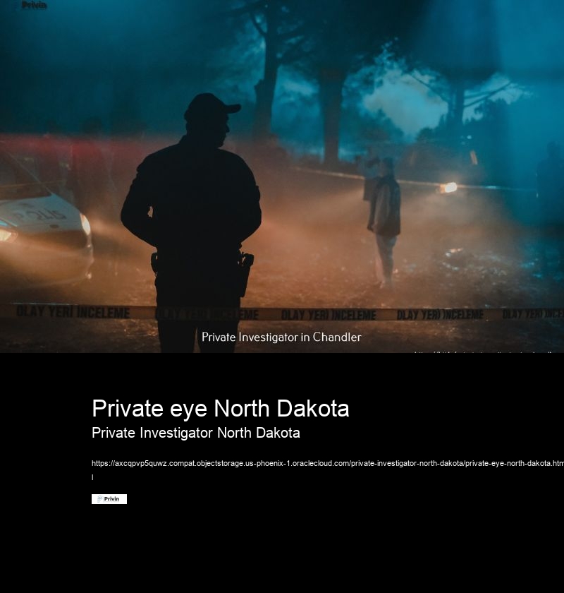 Private eye North Dakota Private Investigator North Dakota How can a professional investigator in North Dakota assist me?