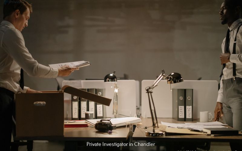 What are some key qualities to look for when selecting a professional investigator in Virginia?